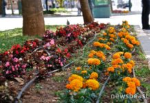 “Κλεισθένης 1”: Ανταποδοτικές και οι υπηρεσίες πρασίνου των Δήμων